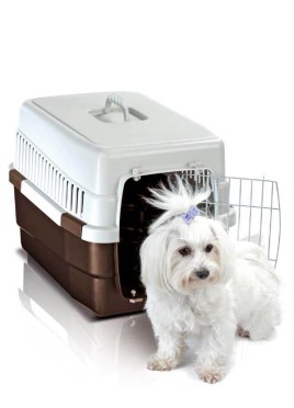 Imac Dog and Cat Carrier Carry 60